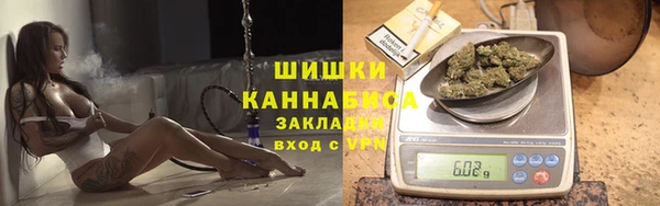 крисы Костерёво