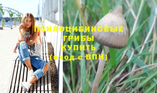 альфа пвп Корсаков