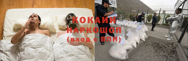 винт Коряжма