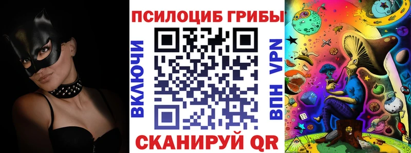 Купить закладки  Меленки  Псилоцибиновые грибы Psilocybe 